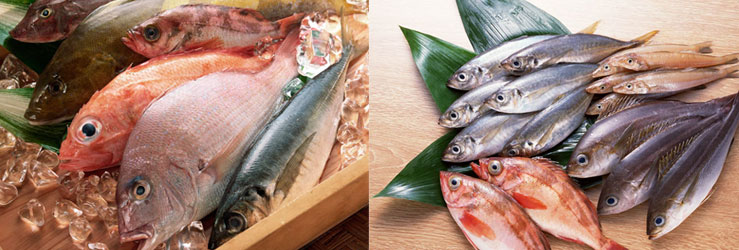 Кулинарные сокровища народов СССР: блюда из рыбы, рецепты рыбных блюд